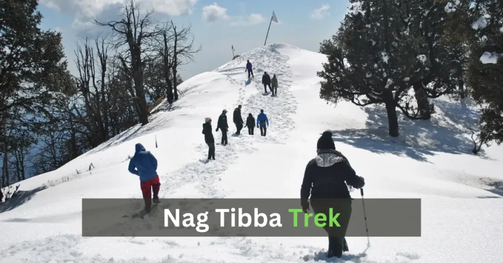 Nagtibba