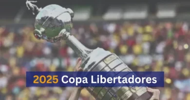 2025 Copa Libertadores