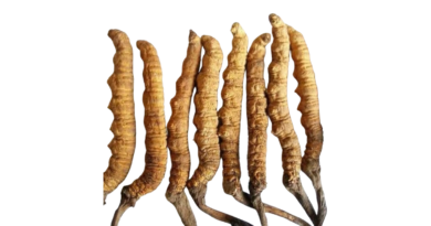Keedajadi