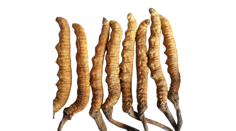Keedajadi